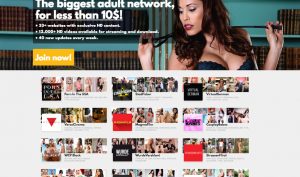 Stiffia stiffia porn network