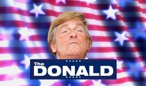 The Donald xxx parody