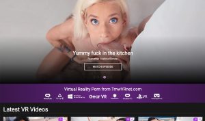 TMW VR porn site
