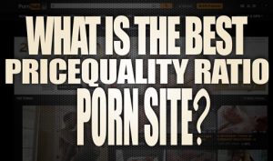 What-is-the-best-pricequality-ratio-porn-site-featured