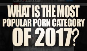 What is the Most Popular Porn Category Of 2017 Logo001
