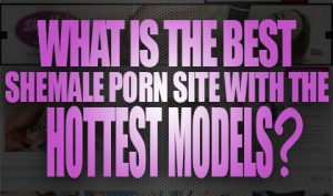 What Is The Best Shemale Porn Site With The Hottest Models Logo001