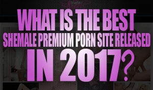 What Is The Best Shemale Premium Porn Site Released In 2017 Logo001