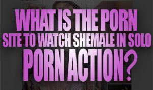 What Is The Porn Site To Watch Shemale In Solo Porn Action Logo001