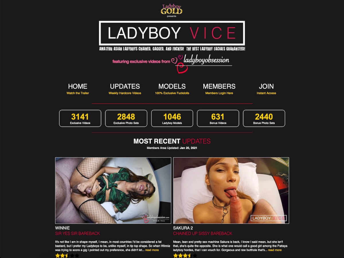 Ladyboy Vice